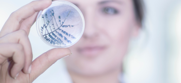 Untitled design (1) ICSI TREATMENT FOR LOW SPERM COUNT COMPLETE PROCESS EXPLAINED