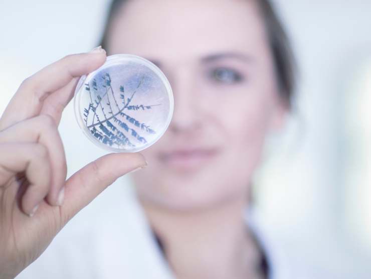 ICSI TREATMENT FOR LOW SPERM COUNT COMPLETE PROCESS EXPLAINED