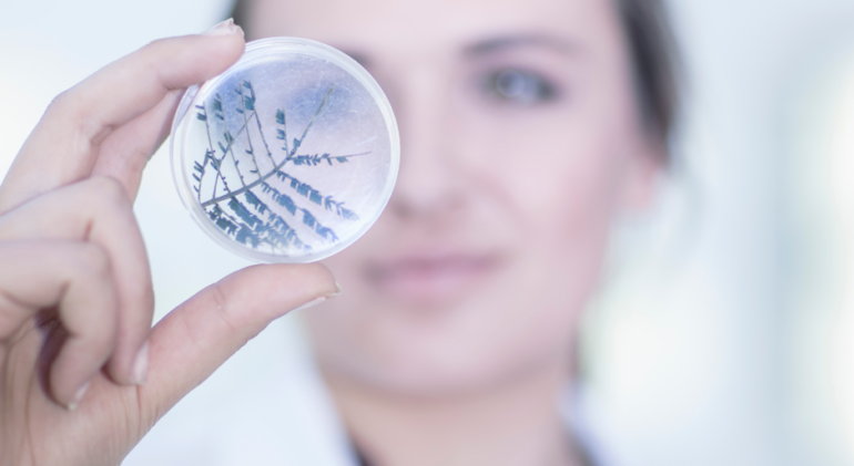 ICSI TREATMENT FOR LOW SPERM COUNT COMPLETE PROCESS EXPLAINED